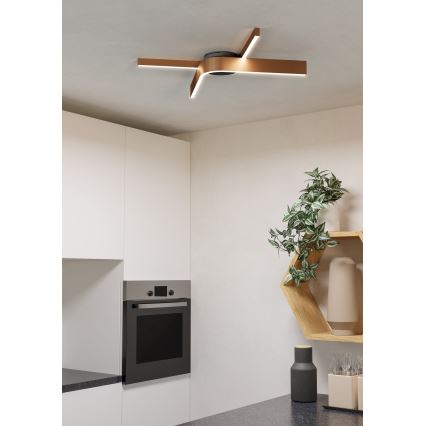 Eglo - LED RGBW hämardatav laelamp 2xLED/18W/230V 2700-6500K vaskne/must