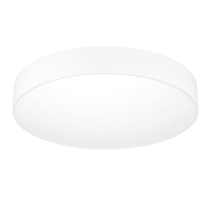 Eglo - LED RGBW hämardatav laelamp LED/26W/230V 2700-6500K läbimõõt 49 cm valge