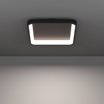 Eglo - RGBW hämardatav LED-laelamp LED/20W/230V 2700-6500K 35x35 cm must