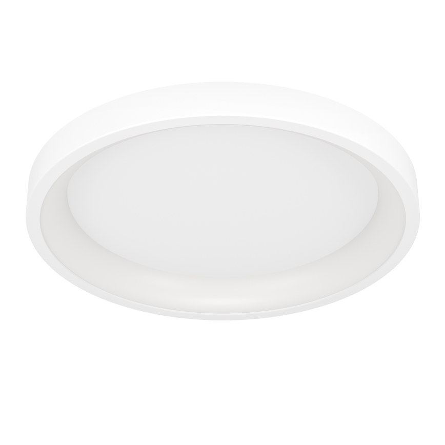 Eglo - LED RGBW hämardatav laelamp LED/19,6W/230V 2700-6500K läbimõõt 35 cm valge