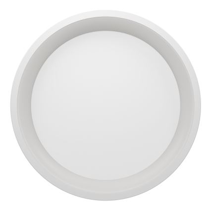 Eglo - LED RGBW hämardatav laelamp LED/19,6W/230V 2700-6500K läbimõõt 35 cm valge