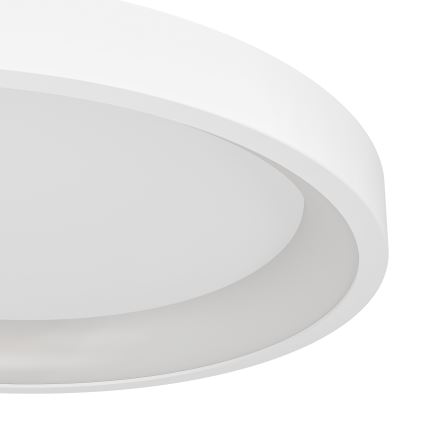 Eglo - LED RGBW hämardatav laelamp LED/19,6W/230V 2700-6500K läbimõõt 35 cm valge