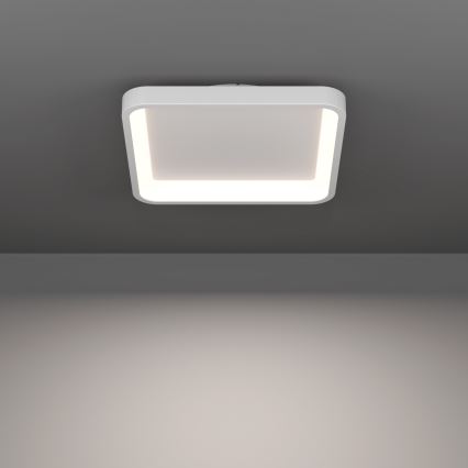 Eglo - LED RGBW hämardatav laelamp LED/20W/230V 2700-6500K 35x35 cm valge