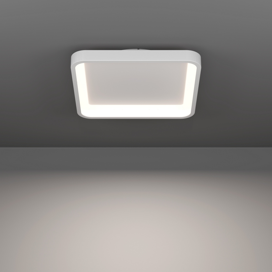 Eglo - LED RGBW hämardatav laelamp LED/20W/230V 2700-6500K 35x35 cm valge