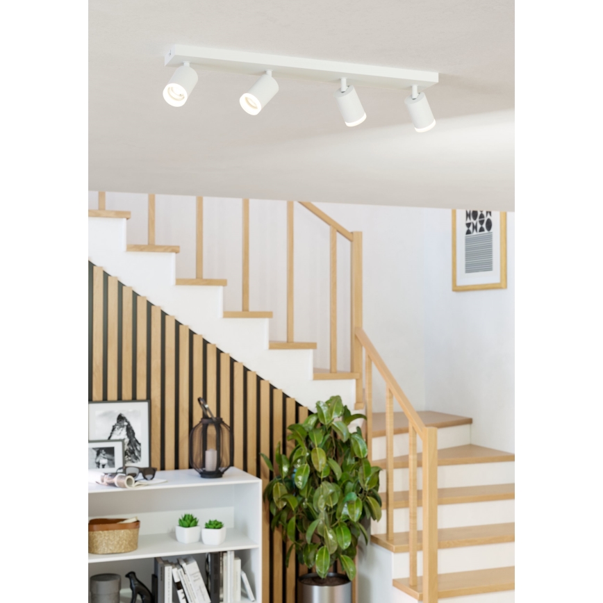 Eglo - LED RGBW hämardatav punktvalgusti 4xLED/3,7W/230V 2700-6500K valge