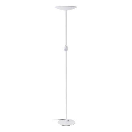 Eglo - Hämardatav põrandalamp LED/26,5W/230V + LED/4W valge