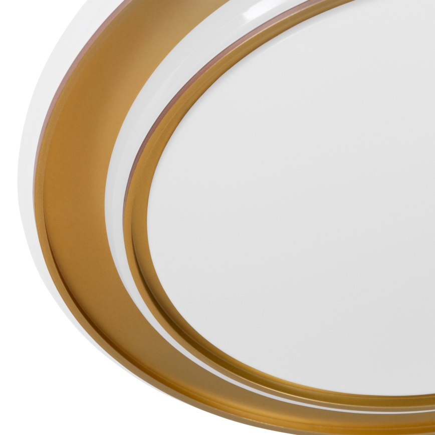 Eglo - LED-laelamp LED/24W/230V, läbimõõt 40 cm, kuldne