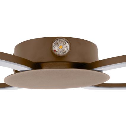 Eglo - LED seinavalgusti LED/20W/230V + LED/0,91W beež