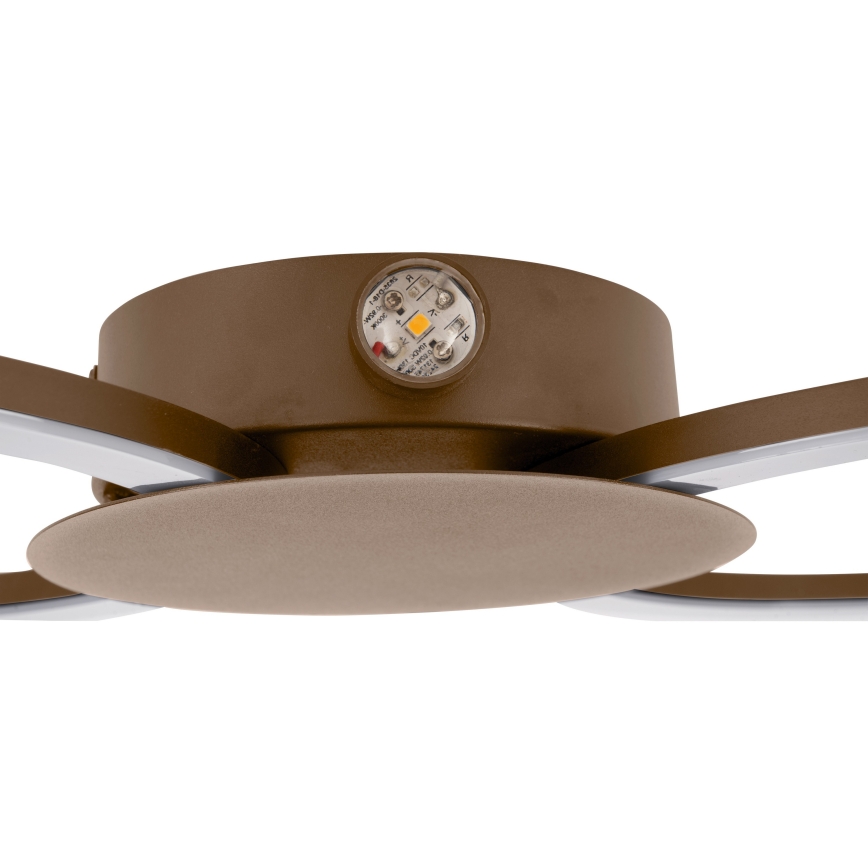 Eglo - LED seinavalgusti LED/20W/230V + LED/0,91W beež