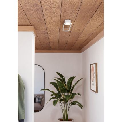 Eglo - LED-laelamp LED/24W/230V 2700/4000/6500K valge