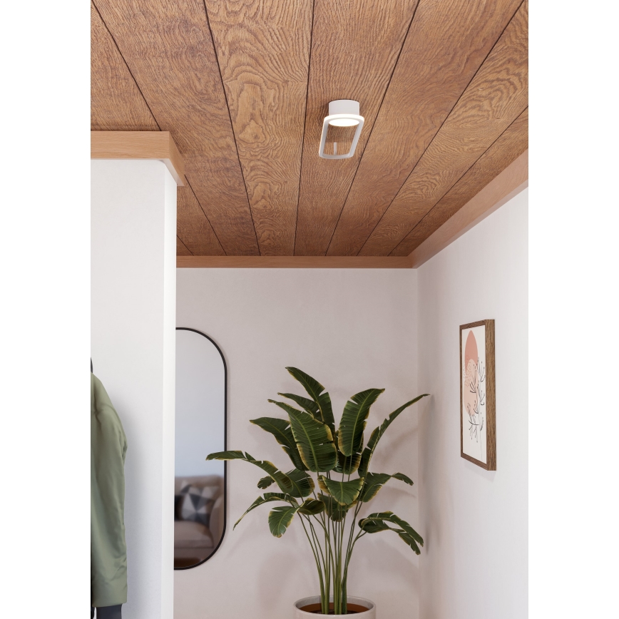 Eglo - LED-laelamp LED/24W/230V 2700/4000/6500K valge