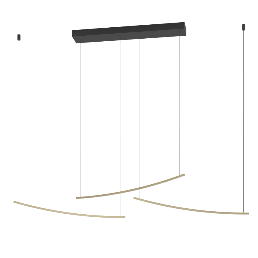 Eglo - hämardatav LED-rippvalgusti kaablil LED/22W/230V 2700/4000/6500K kuldne