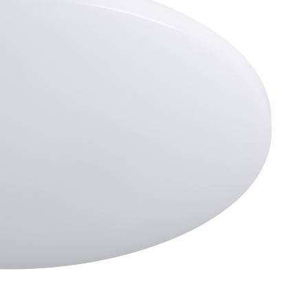 Eglo - LED RGBW hämardatav laelamp LED/25W/230V 2700–6500K läbimõõt 50 cm