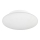 Eglo 91685 - LED Laevalgusti vannituppa BARI 1 LED/18W/230V IP44