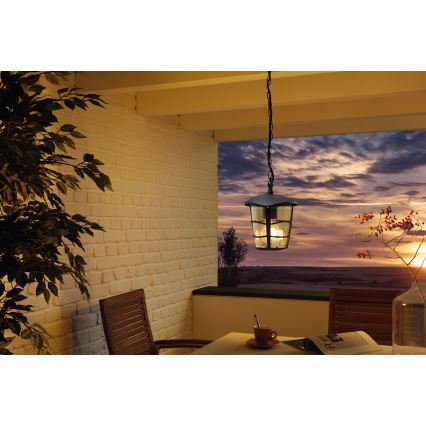 Eglo 93406 - LED välistingimuste lühter ALORIA 1xE27/8,5W/230V IP44