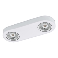 Eglo 94176 - LED-kohtvalgusti MONTALE 2xLED/5.4W/230V