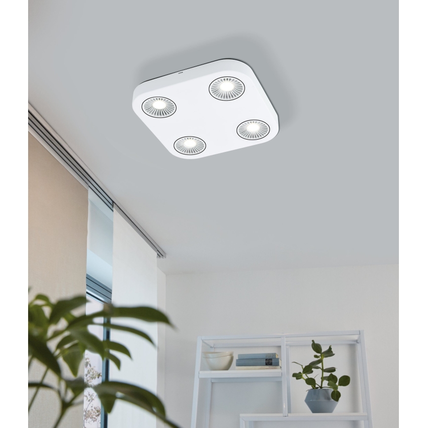 Eglo 94178 - LED-kohtvalgusti MONTALE 4xLED/5.4W/230V