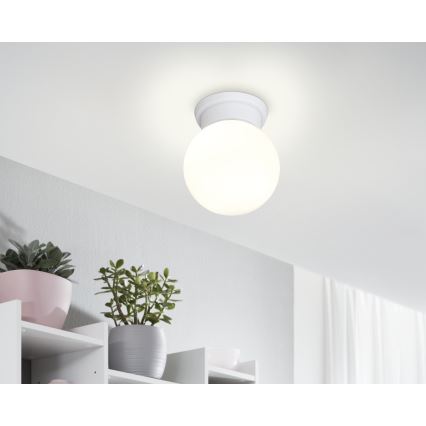 Eglo - Laevalgusti 1xE27/28W/230V