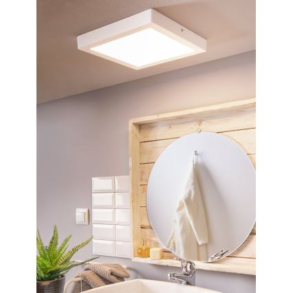 Eglo 96169 - LED-vannitoa laevalgusti FUEVA 1 LED/22W/230V IP44 30x30 cm