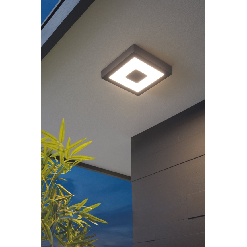 Eglo - LED Seinavalgusti õue LED/16.5W/230V