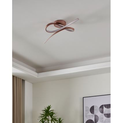 Eglo - LED kinnitatav lühter 2xLED/11W/230V