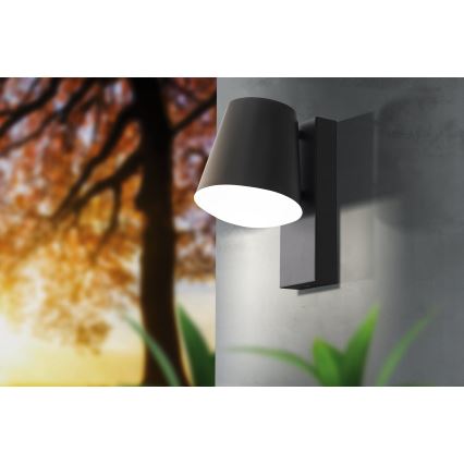 Eglo 97482 - LED-hämardatav välisseinavalgusti CALDIERO-C 1xE27/9W/230V IP44