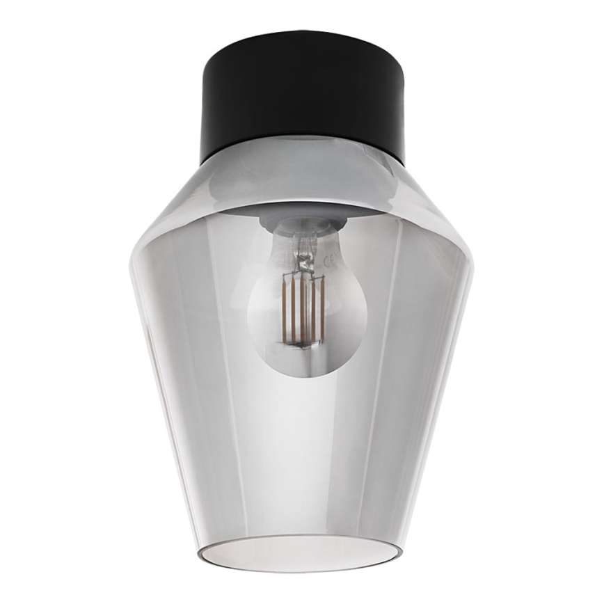 Eglo 97634 - Laevalgusti VERELLI 1xE27/60W/230V