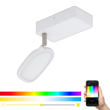 Eglo - LED RGB Kohtvalgusti PALOMBARE-C 1xLED/5W/230V