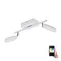 Eglo 97692 - LED Kohtvalgusti PALOMBARE-C 2xLED/5W/230V