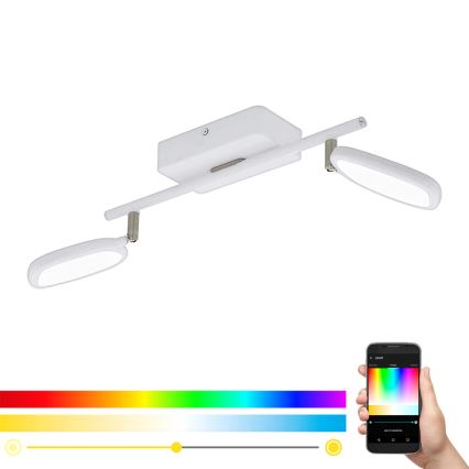 Eglo 97692 - LED Kohtvalgusti PALOMBARE-C 2xLED/5W/230V