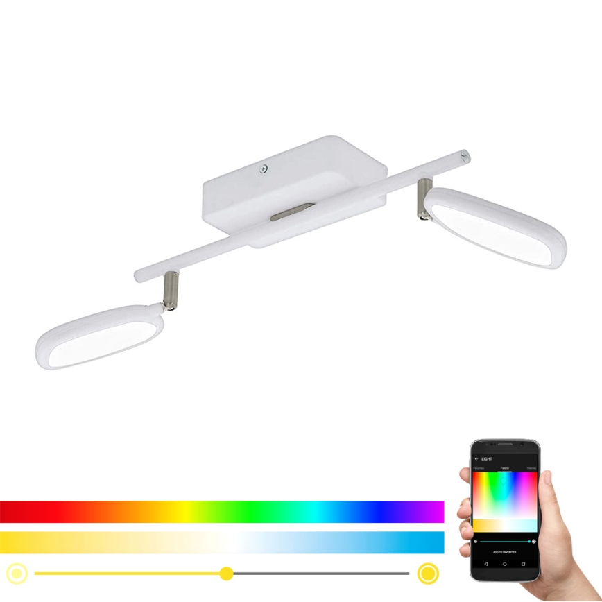 Eglo 97692 - LED Kohtvalgusti PALOMBARE-C 2xLED/5W/230V