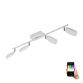 Eglo 97694 - LED Kohtvalgusti PALOMBARE-C 4xLED/5W/230V
