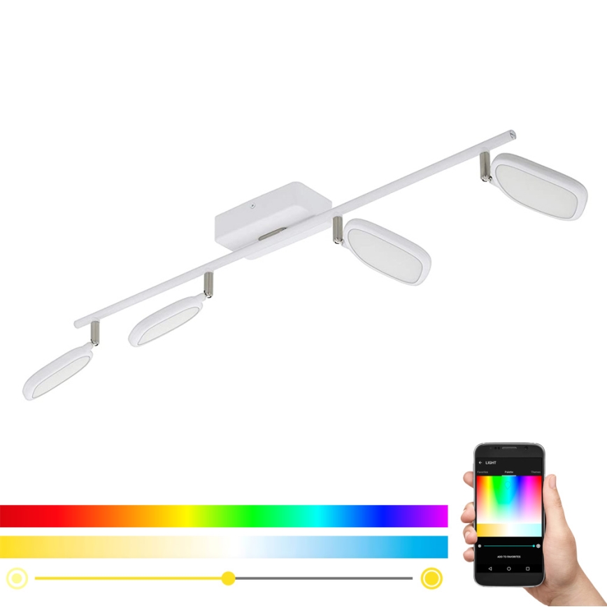 Eglo 97694 - LED Kohtvalgusti PALOMBARE-C 4xLED/5W/230V