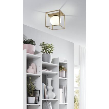 Eglo 97791 - Pinnapealne lühter VALLASPRA 1xE14/40W/230V