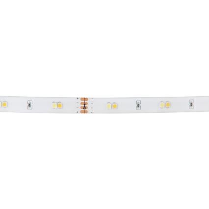 Eglo - RGB LED Hämardatav riba LED/10W/230V IP20 2m