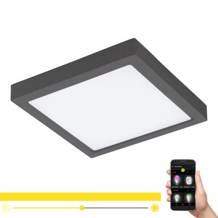 Eglo - LED Hämardatav välivalgusti ARGOLIS-C LED/22W/230V IP44 Bluetooth