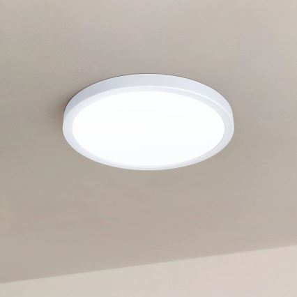 Eglo - LED Hämardatav laevalgusti LED/20W/230V + pult