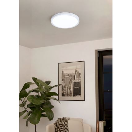 Eglo - LED Hämardatav laevalgusti LED/20W/230V + pult