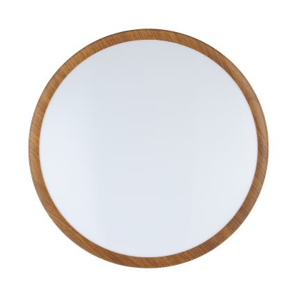 Eglo - LED Laevalgusti LED/14,6W/230V