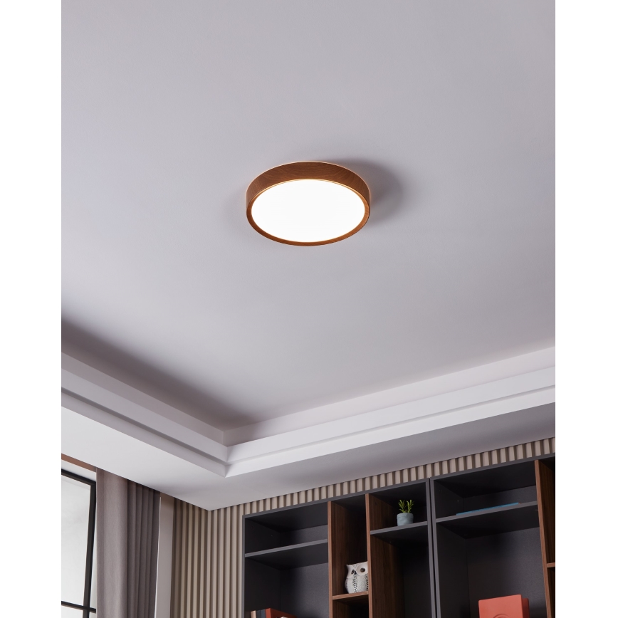 Eglo - LED Laevalgusti LED/14,6W/230V