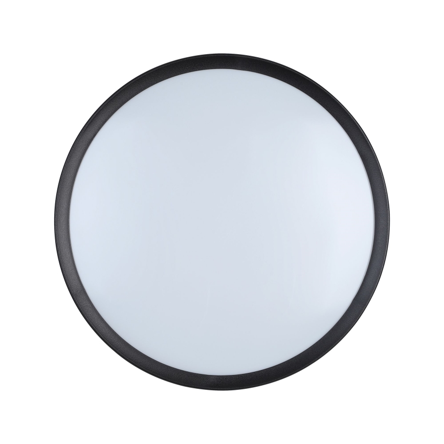 Eglo - LED-laevalgusti LED/16,8W/230V