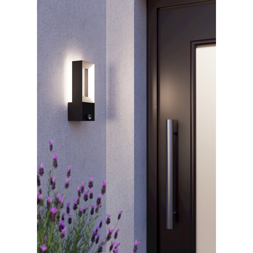 Eglo 98726 - LED Välivalgusti anduriga RIFORANO 2xLED/5W/230V IP44