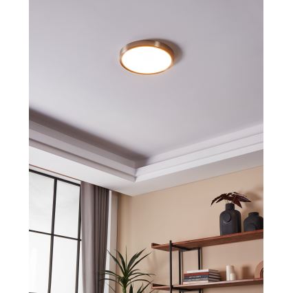 Eglo - LED Hämardatav vannitoa laevalgusti LED/19,5W/230V 2700-6500K IP44 ZigBee läbimõõt 28,5 cm