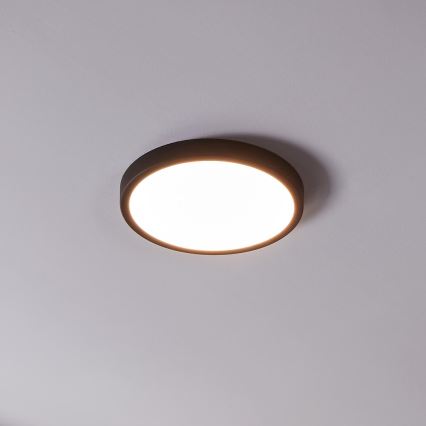 Eglo - LED Hämardatav valgusti vannituppa LED/19,5W/230V IP44 ZigBee