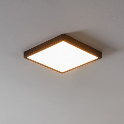 Eglo - Hämardatav vannitoa LED-valgusti LED/19,5W/230V IP44 ZigBee 28,5x28,5 cm