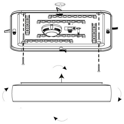 Eglo - LED-laevalgusti LED/22W/230V