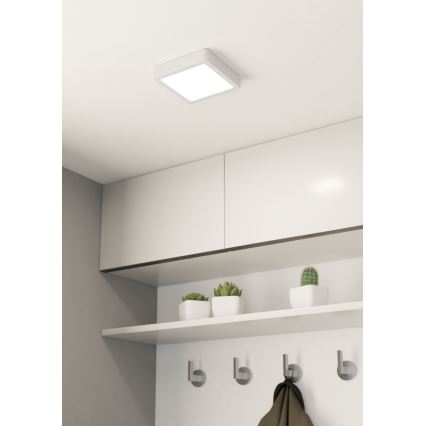 Eglo - LED-laevalgusti LED/10,5W/230V