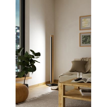 Eglo - LED Hämardatav puutetundlik põrandalamp CAMACHO LED/22W/230V