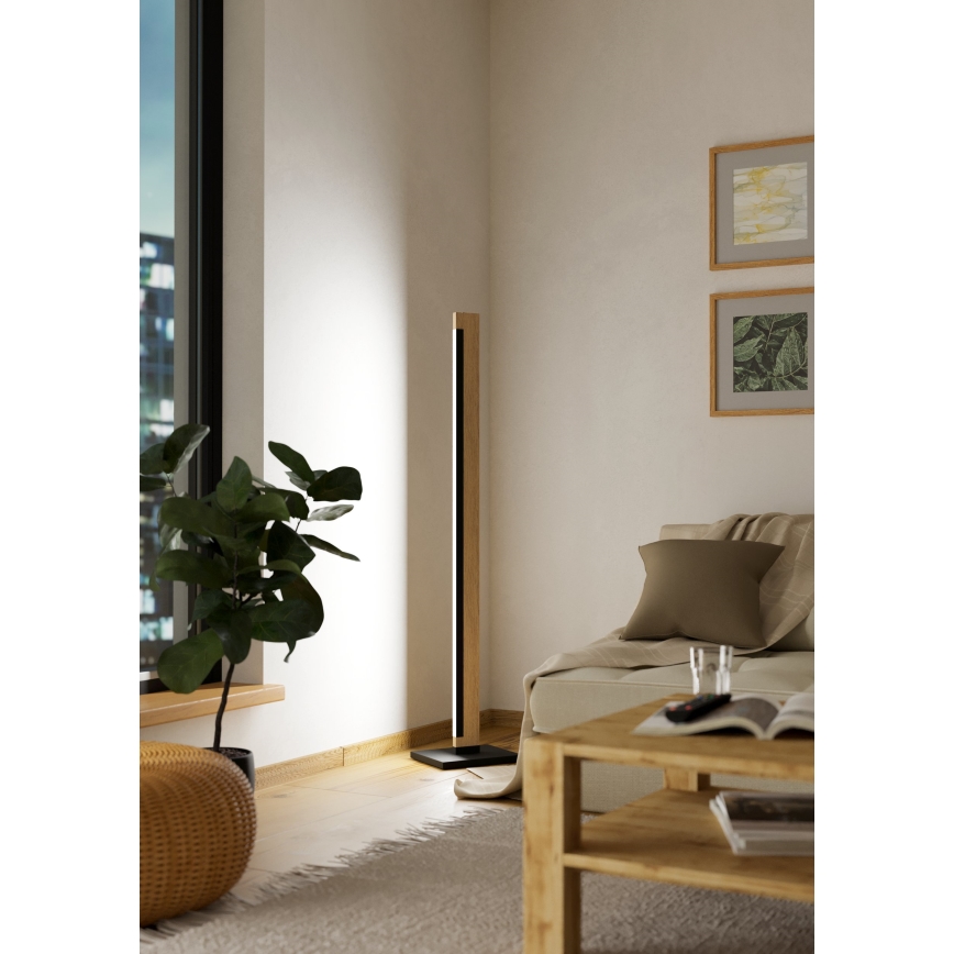 Eglo - LED Hämardatav puutetundlik põrandalamp CAMACHO LED/22W/230V