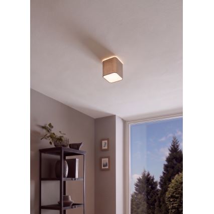 Eglo - Laevalgusti 1xE27/28W/230V